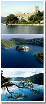 MLJET